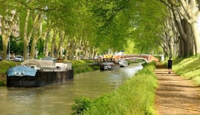 Fête de la Cocagne à Saint-Félix : une tradition à découvrir près de Toulouse