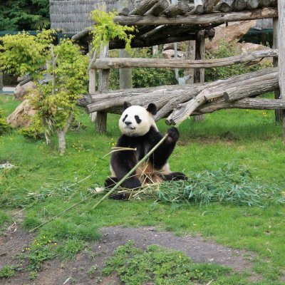 Appart’Hôtel zoo de Beauval